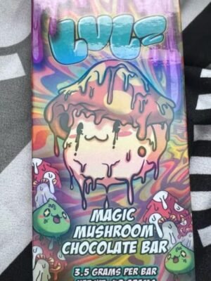 Buy Mushroom Chocolate Bar