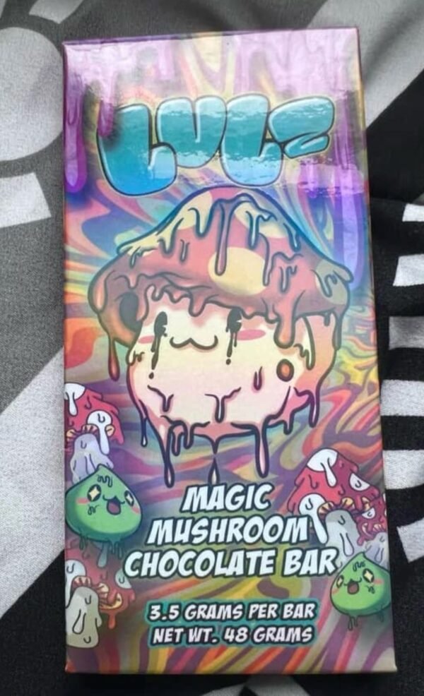 Buy Mushroom Chocolate Bar