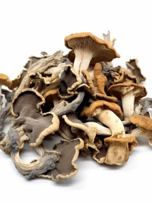 Penis Envy Magic Mushrooms