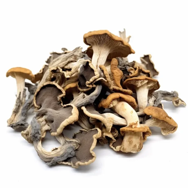 Penis Envy Magic Mushrooms