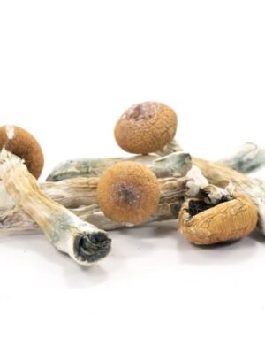 Buy Penis Envy online