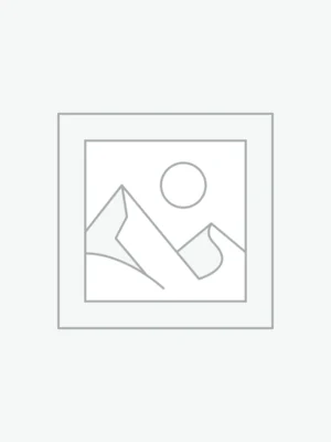 Psilocybin Chocolate Bars (Rainforest Chocolate )